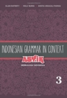 Indonesian Grammar in Context: Asyik Berbahasa Indonesia : Volume 3 - Book