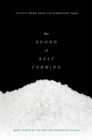 The Sound of Salt Forming : Short Stories by the Post-80's Generation in China - Book