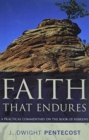 Faith That Endures - A Practical Commentary on the Book of Hebrews - Book