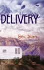 Delivery : A Novel - Book