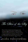 Skin of the Sky : A Novel - Book