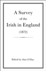 A Survey of the Irish in England (1872) - eBook
