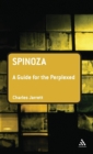 Spinoza: A Guide for the Perplexed - Book