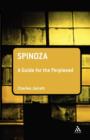 Spinoza: A Guide for the Perplexed - Book