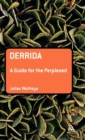 Derrida: A Guide for the Perplexed - Book