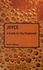 Joyce: A Guide for the Perplexed - Book