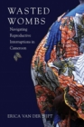 Wasted Wombs : Navigating Reproductive Interruptions in Cameroon - eBook