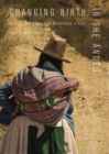 Changing Birth in the Andes : Culture, Policy, and Safe Motherhood in Peru - Book