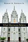 What Mormons Believe - Book
