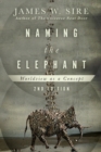 Naming the Elephant : Worldview as a Concept - Book