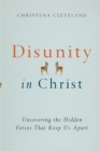 Disunity in Christ - Uncovering the Hidden Forces that Keep Us Apart - Book