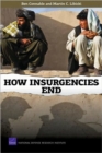 How Insurgencies End - Book