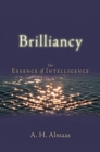 Brilliancy - eBook