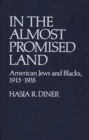 In the Almost Promised Land : American Jews and Blacks, 1915-1935 - Book