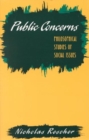 Public Concerns : Philosophical Studies of Social Issues - Book