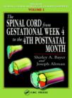 The Spinal Cord from Gestational Week 4 to the 4th Postnatal Month - Book
