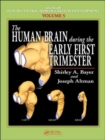The Human Brain During the Early First Trimester - Book