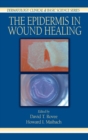 The Epidermis in Wound Healing - Book