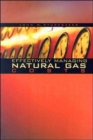 Effectively Managing Natural Gas Costs - Book