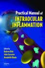 Practical Manual of Intraocular Inflammation - Book