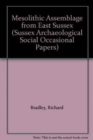 Mesolithic Assemblage In Sussex - Book