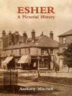 Esher A Pictorial History - Book
