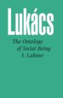 Ontology of Social Being: Pt. 3 : Labour - Book