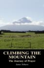 Climbing the Mountain - Book
