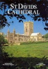 ST DAVID'S CATHEDRAL - Book