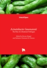 Acinetobacter baumannii : The Rise of a Resistant Pathogen - Book