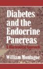 Diabetes and the Endocrine Pancreas : A Biochemical Approach - Book