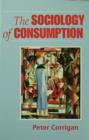 The Sociology of Consumption : An Introduction - eBook