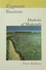 Zygmunt Bauman : Dialectic of Modernity - eBook