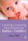 Creating a Learning Environment for Babies and Toddlers - Book