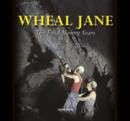 Wheal Jane : The Final Mining Years - Book