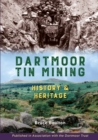 Dartmoor Tin Mining : History and Heritage - Book