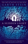 A Sudden Light - eBook