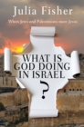 What is God Doing in Israel? : When Jews and Palestinians meet Jesus - eBook