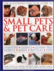 Illustrated Practical Guide to Small Pets & Pet Care - Book