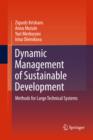 Dynamic Management of Sustainable Development : Methods for Large Technical Systems - eBook