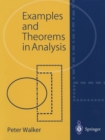 Examples and Theorems in Analysis - eBook