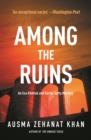 Among The Ruins - Book