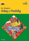 Sut i Ddisgleirio Adeg y Nadolig - Book