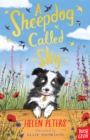 A Sheepdog Called Sky - eBook