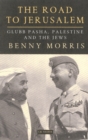 The Road to Jerusalem : Glubb Pasha, Palestine and the Jews - eBook
