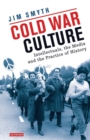 Cold War Culture : Intellectuals, the Media and the Practice of History - eBook