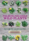Foraging for Edible Wild Plants : How to Identify, Cook and Enjoy Them - Book