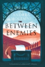 Between Enemies - Book