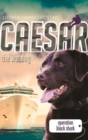 Caesar the War Dog 5: Operation Black Shark - Book