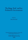 The Brigg Raft and Its Prehistoric Environment - Book